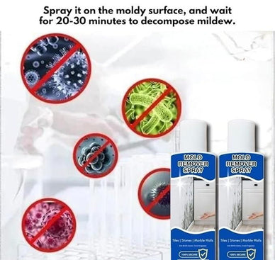 Breathe Easy: Reclaim Your Home's Freshness